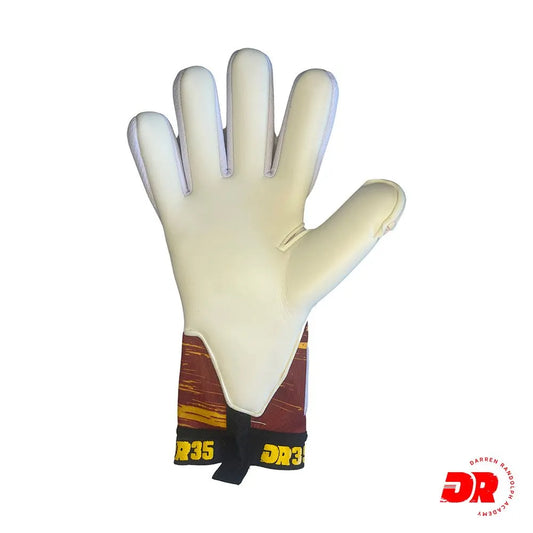 DR35 Gloves